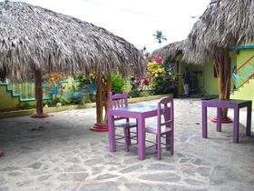 Nicki art surf hostel